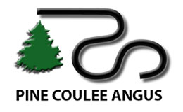 Pine Coulee Angus